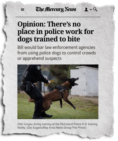 Accusing Dogs NEW REPORT: Weaponizing Dogs - The Brutal and Outdated Practice of ...